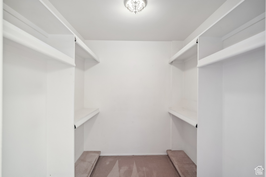 Walk in closet with light colored carpet