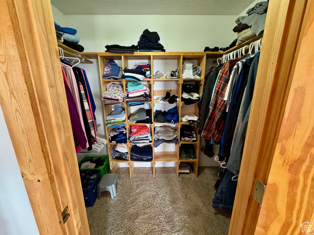 Walk in closet featuring carpet flooring