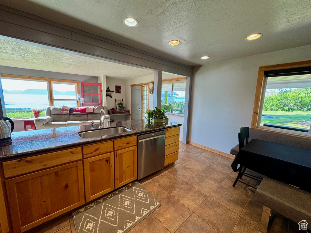 Kitchen with stainless steel dishwasher, a textured ceiling, plenty of natural light, brown cabinetry, and recessed lighting