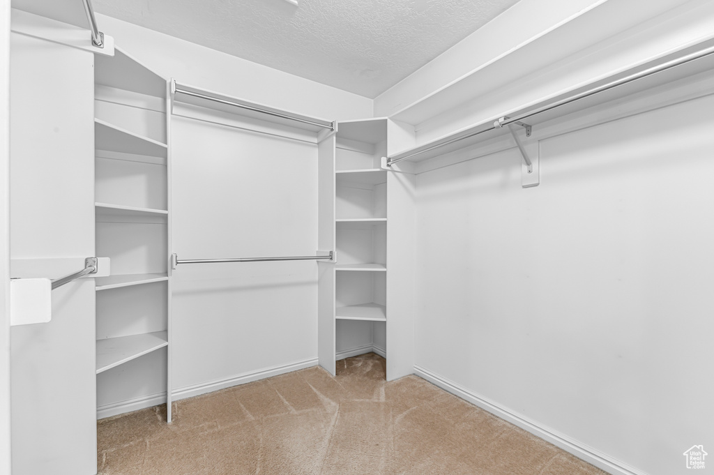 Walk in closet with carpet flooring
