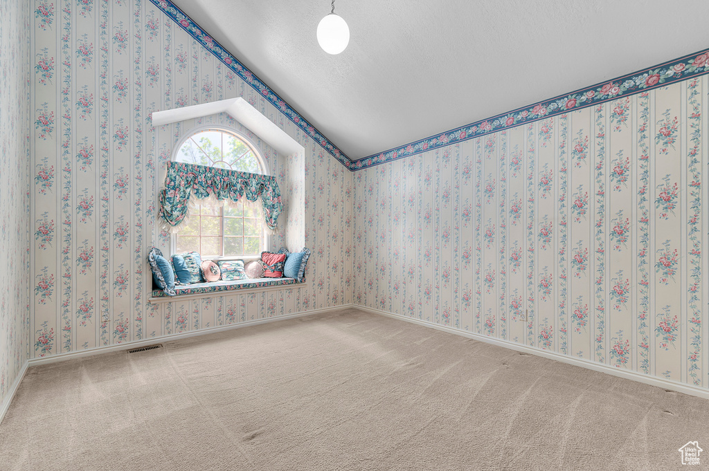 Carpeted spare room featuring lofted ceiling and a textured ceiling
