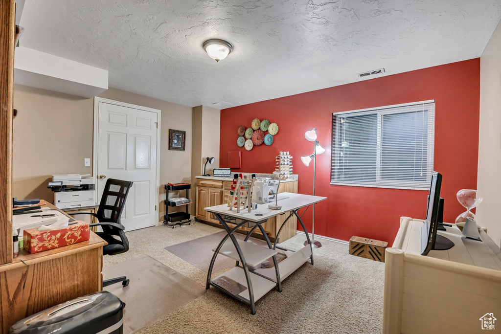 Office with light colored carpet and a textured ceiling