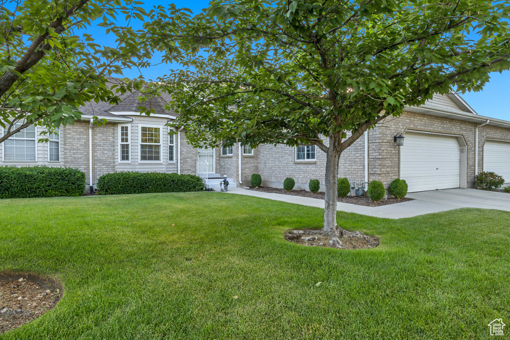 View of property hidden behind natural elements with a front lawn, concrete driveway, and a garage