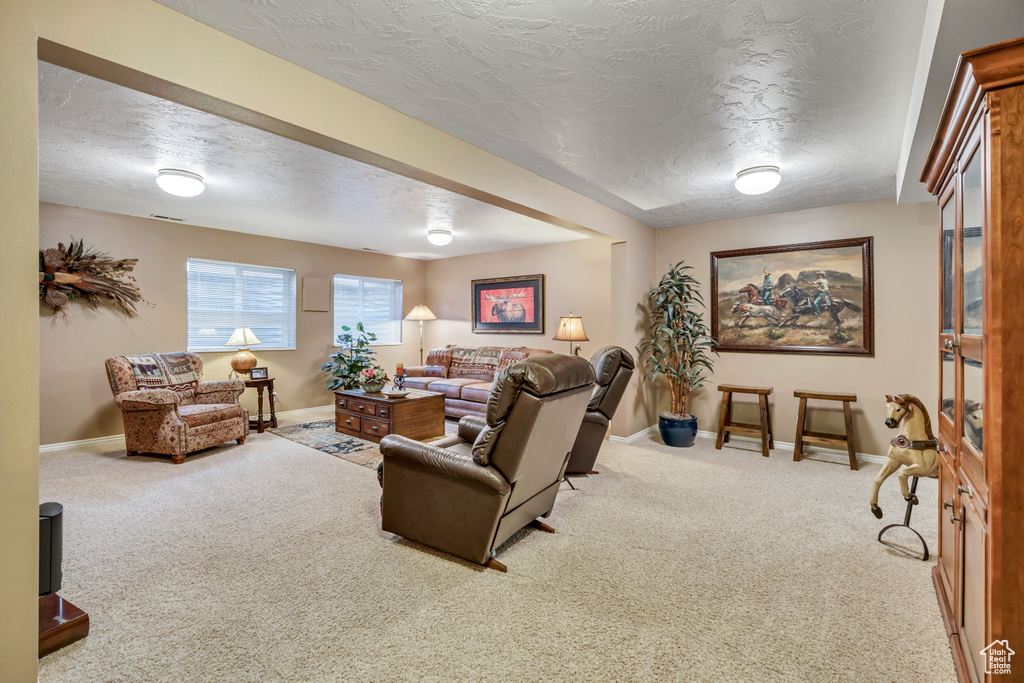 Carpeted living room featuring a textured ceiling