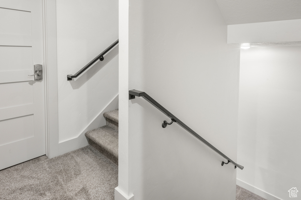 Stairs featuring carpet floors