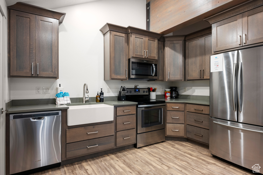 Kitchen featuring appliances with stainless steel finishes, light wood-style flooring, and dark brown cabinetry