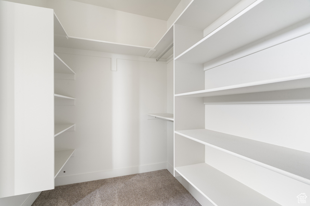 Walk in closet featuring carpet floors