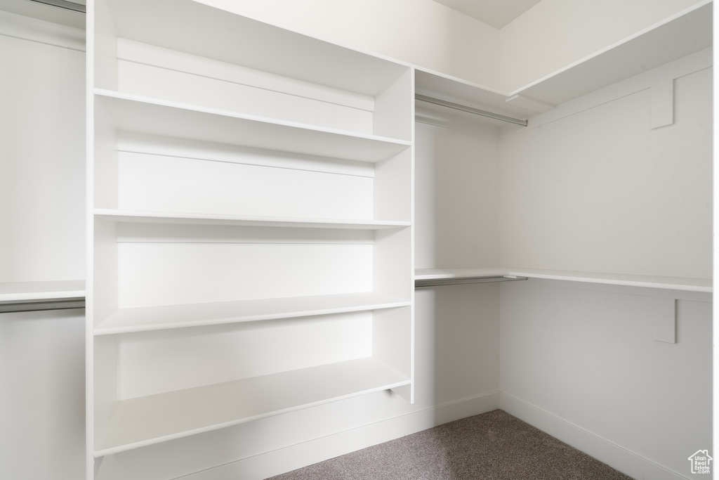 Spacious closet featuring carpet flooring