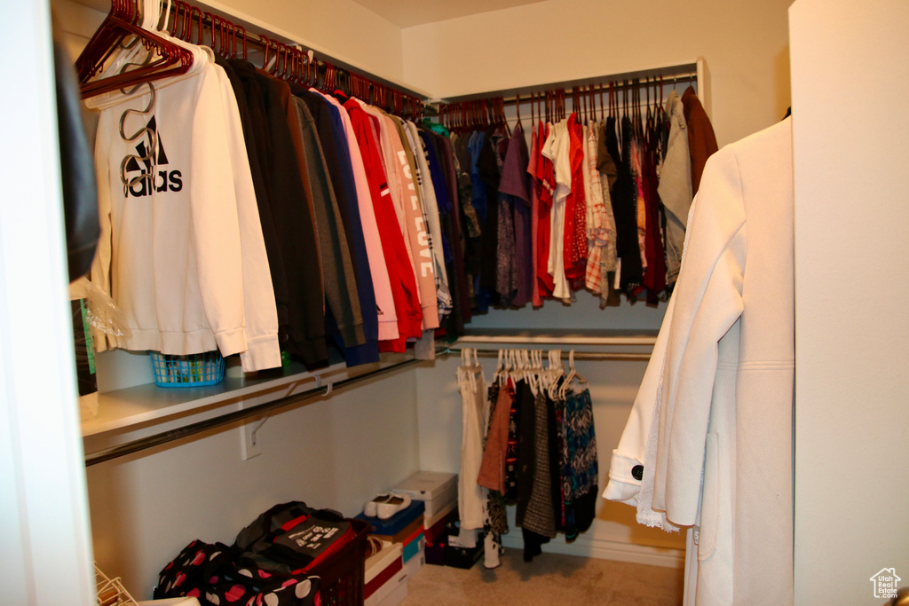 Walk in closet with carpet floors