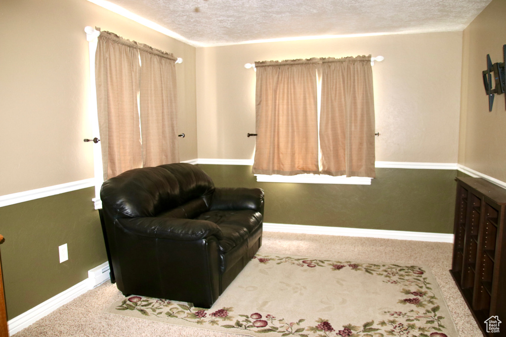 Sitting room featuring a textured ceiling and carpet