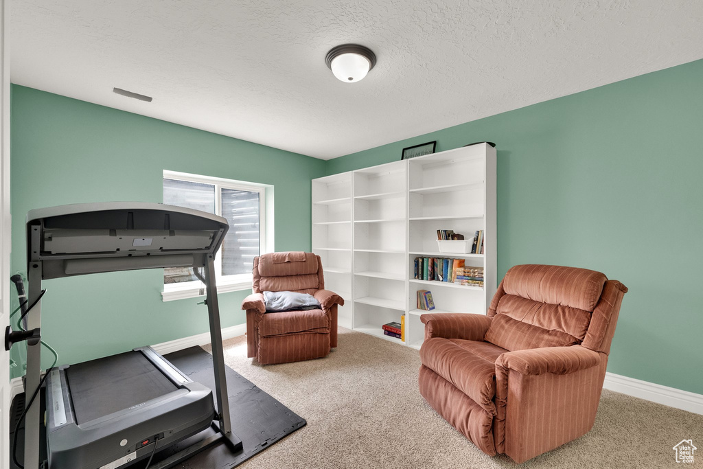 Workout area with carpet and a textured ceiling