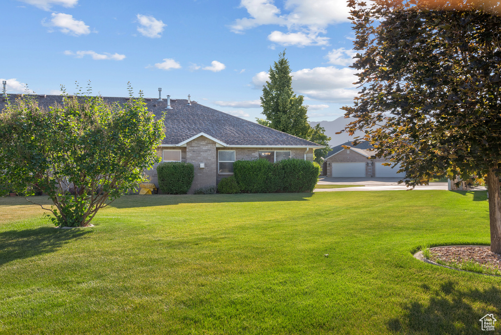 View of front facade with a front lawn, a shingled roof, and brick siding