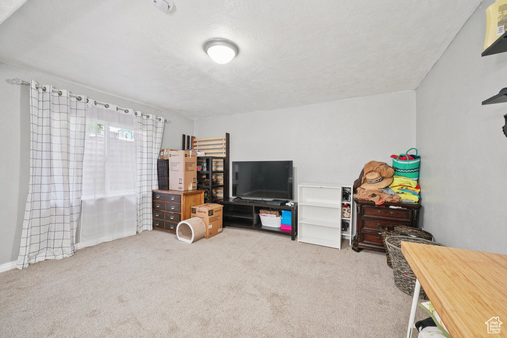 Interior space featuring carpet