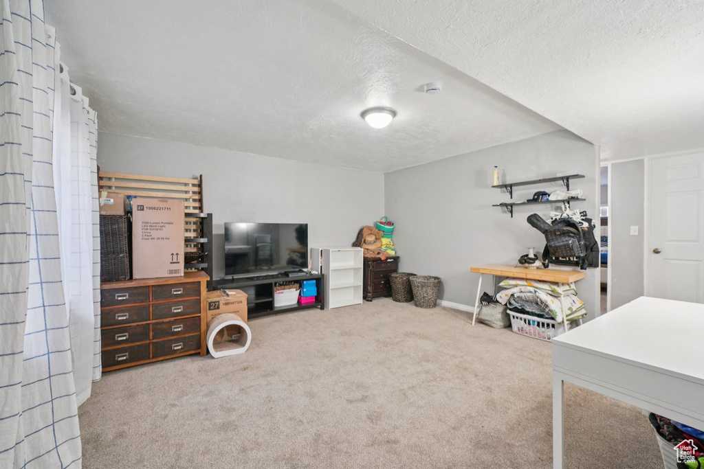 Carpeted living area featuring a textured ceiling
