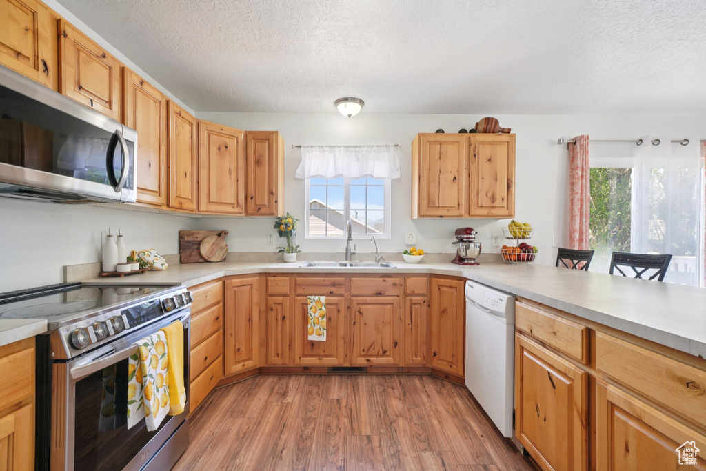 Kitchen featuring stainless steel appliances, plenty of natural light, a textured ceiling, light wood-type flooring, and light countertops