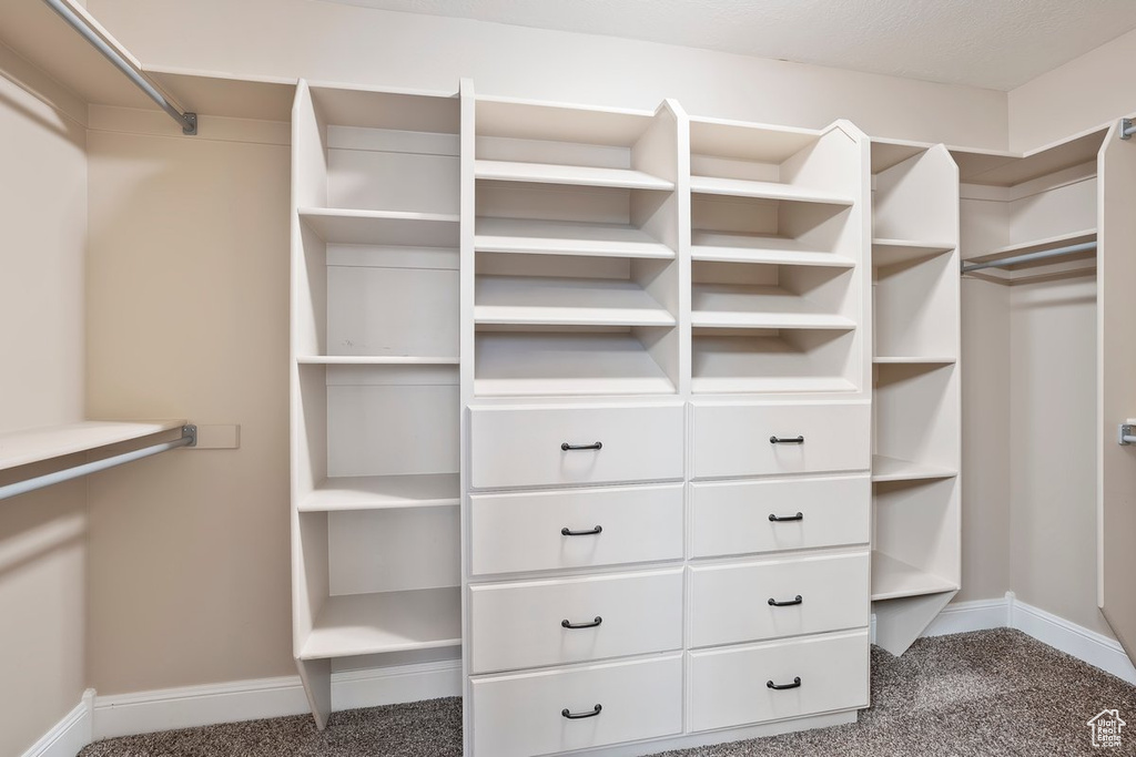 Walk in closet featuring carpet flooring