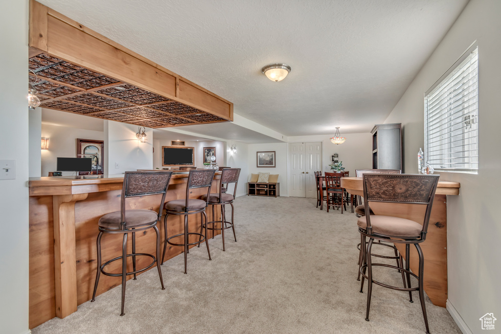 Indoor dry bar with light carpet