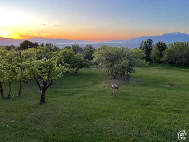 685 S WOODLAND HILLS DR Woodland Hills, UT 84653