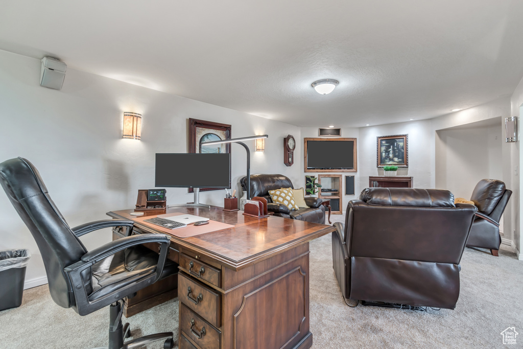 Office featuring light carpet