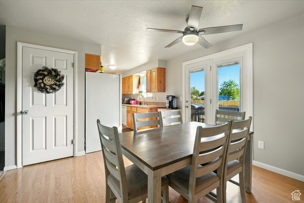 Dining area featuring light wood finished floors, ceiling fan, and a textured ceiling