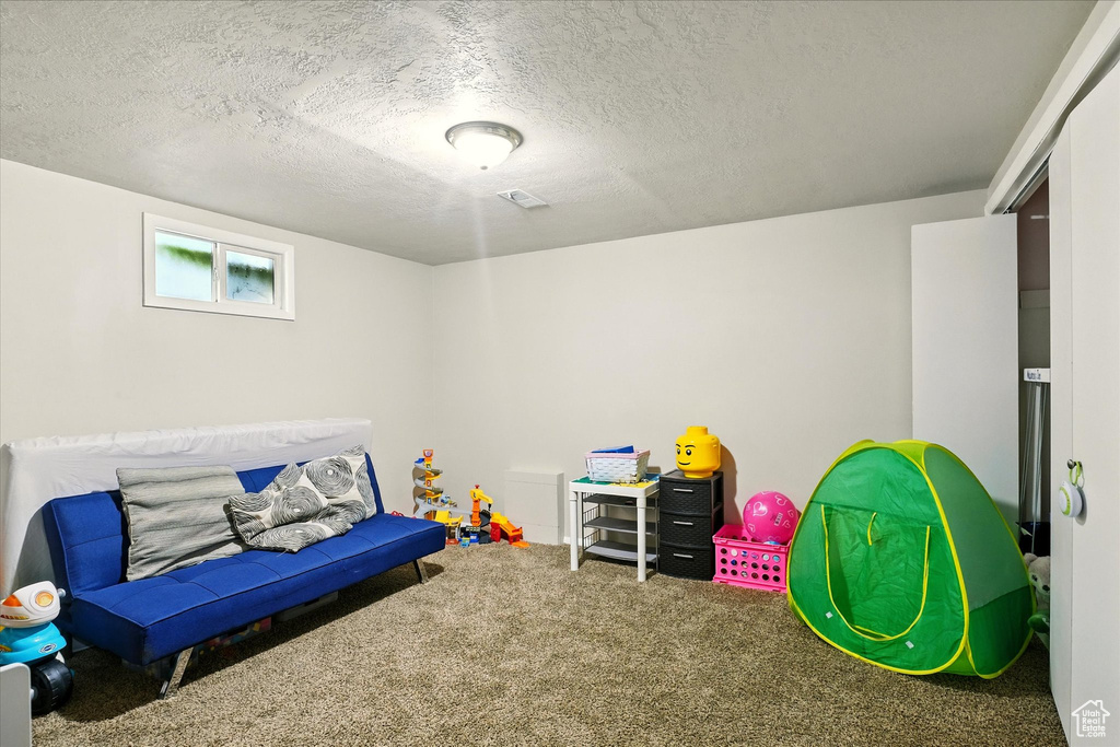 Recreation room with carpet floors and a textured ceiling