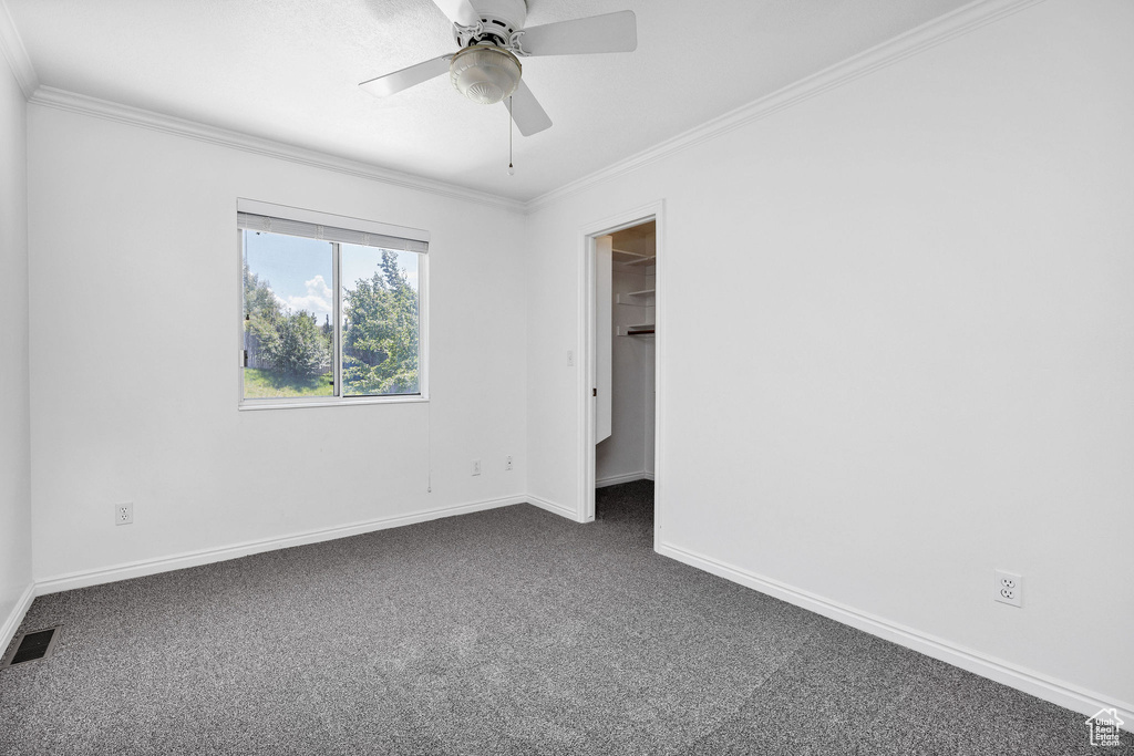 Unfurnished bedroom with dark carpet, crown molding, a spacious closet, and ceiling fan