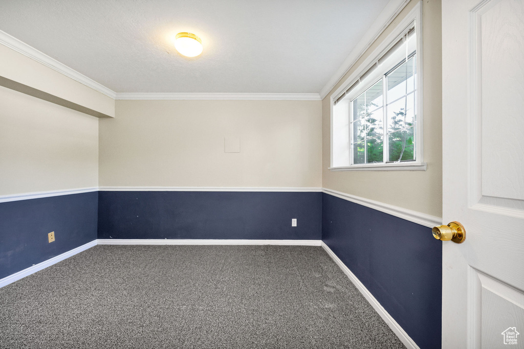 Carpeted empty room with crown molding and baseboards