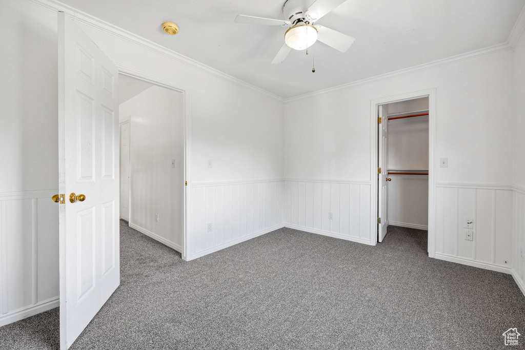 Unfurnished bedroom with carpet, a wainscoted wall, a spacious closet, crown molding, and ceiling fan