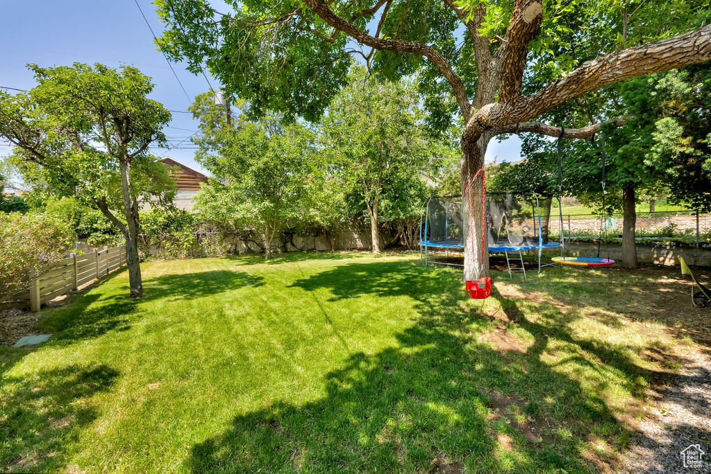 View of yard with a trampoline