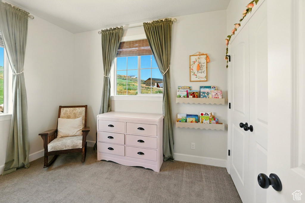 Sitting room with light carpet and baseboards