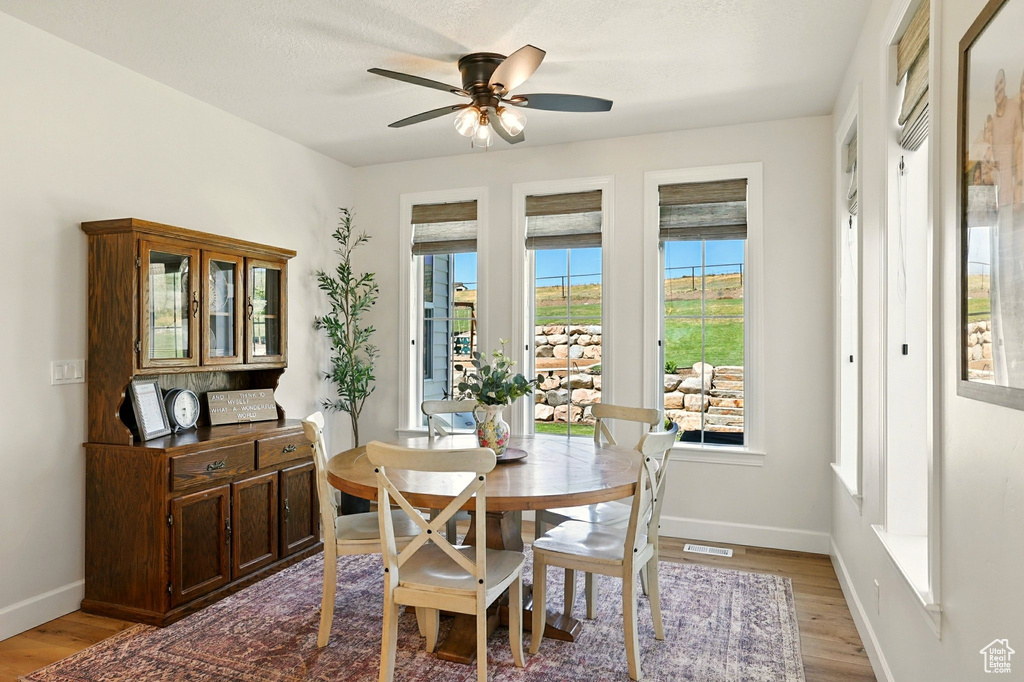 Dining area featuring plenty of natural light, light wood-style flooring, and a ceiling fan