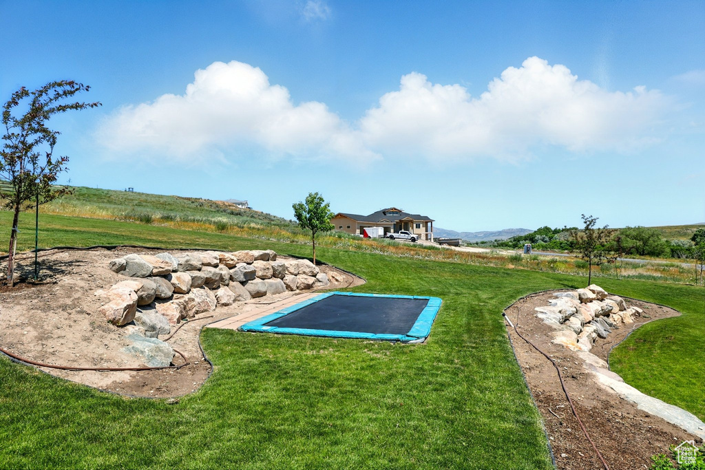 View of grassy yard featuring a trampoline