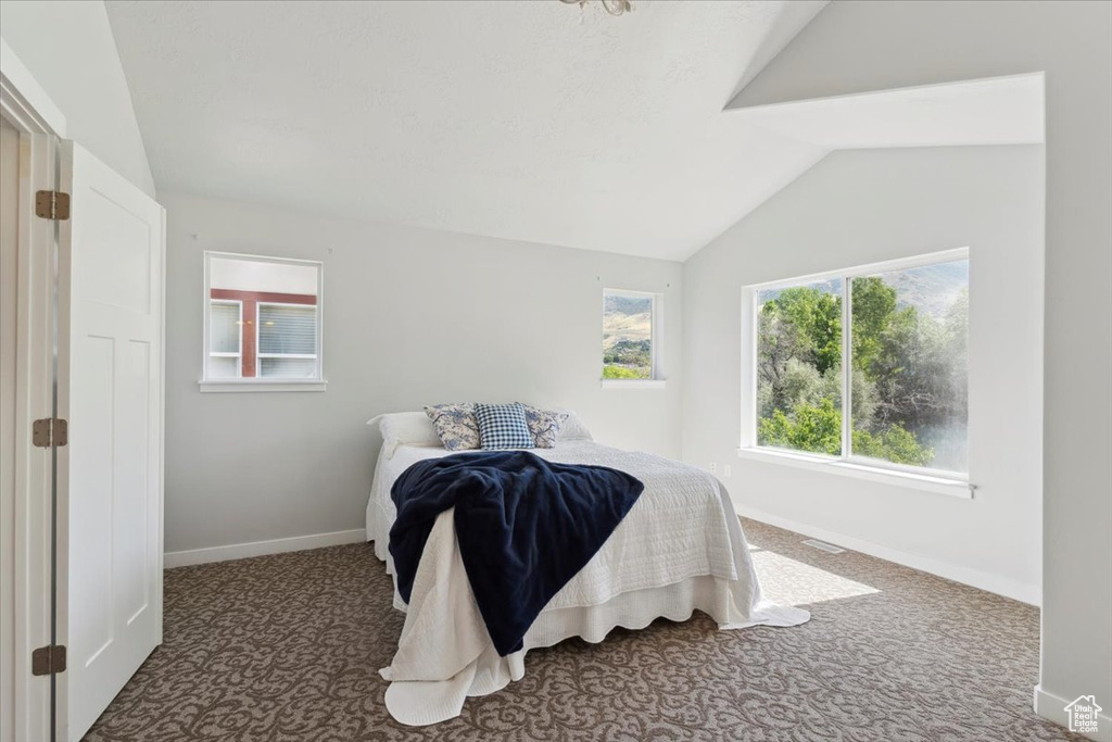 Carpeted bedroom with lofted ceiling