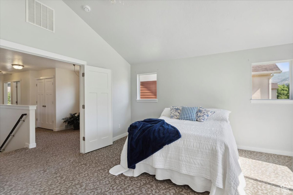 Bedroom with carpet floors and high vaulted ceiling