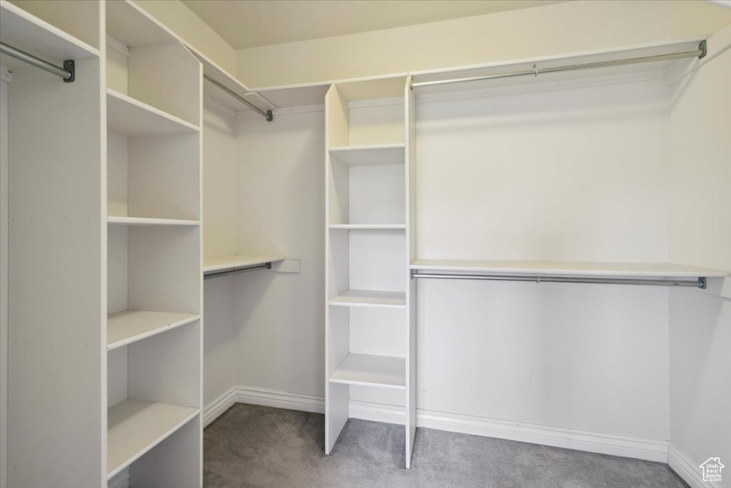 Walk in closet with carpet floors