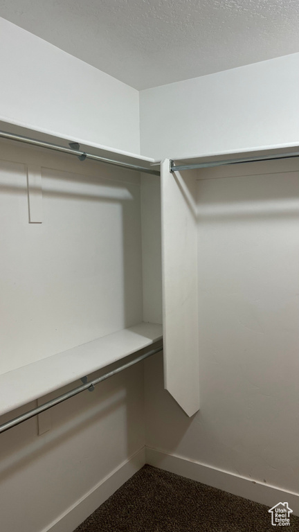View of spacious closet