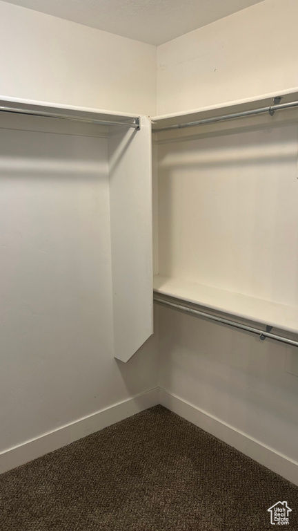 Spacious closet with dark colored carpet