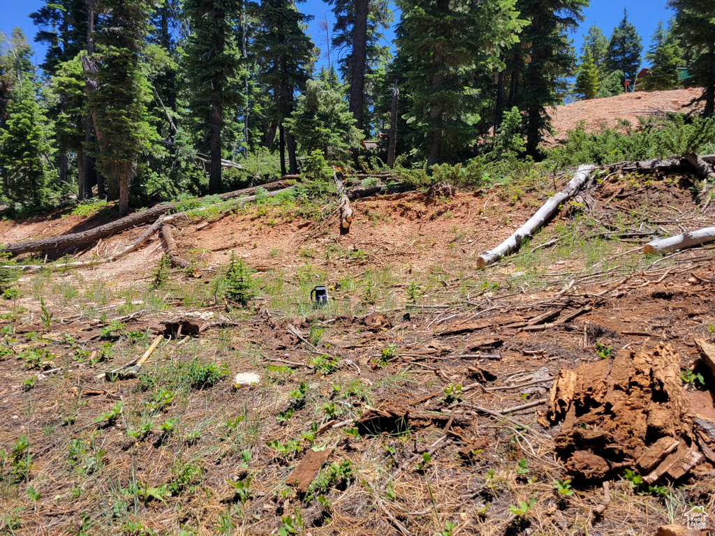 View of undeveloped land