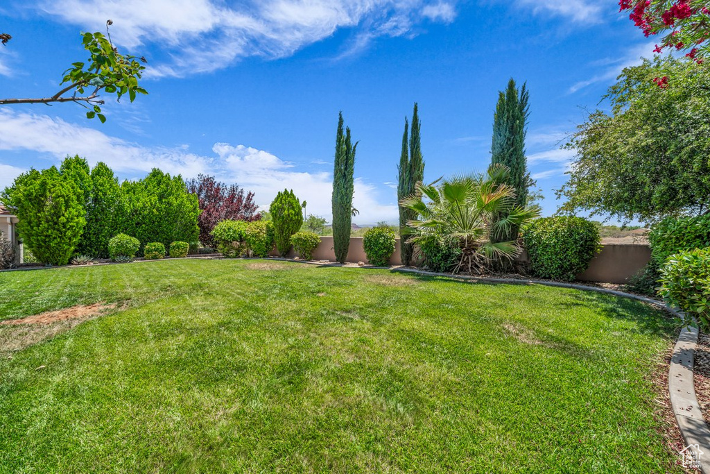 View of fenced backyard