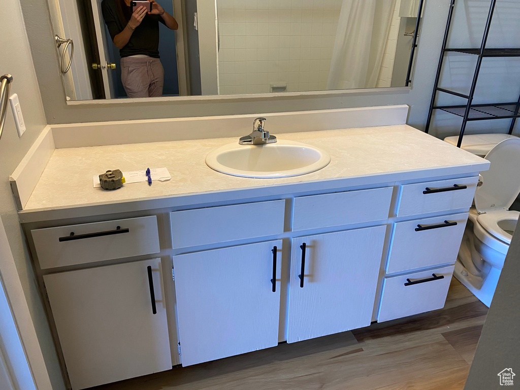 Bathroom featuring vanity, wood finished floors, and a shower with curtain