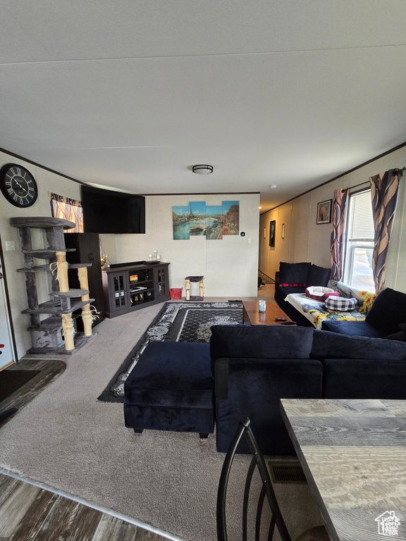 Living area featuring wood finished floors