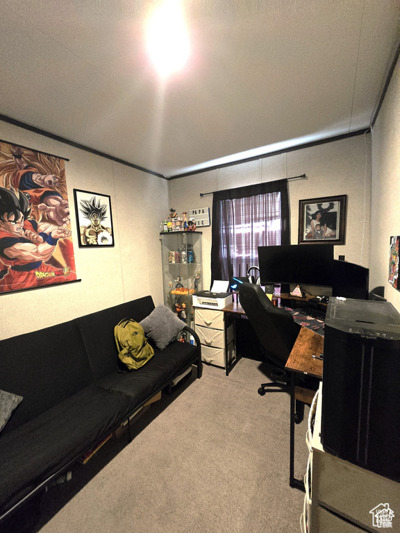 View of carpeted home office