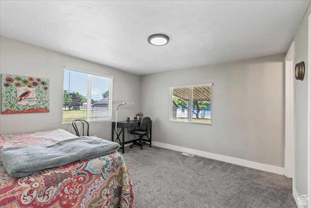 Bedroom featuring carpet and multiple windows