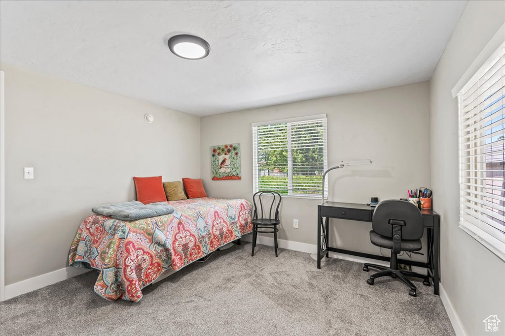 Carpeted bedroom featuring baseboards and an office area