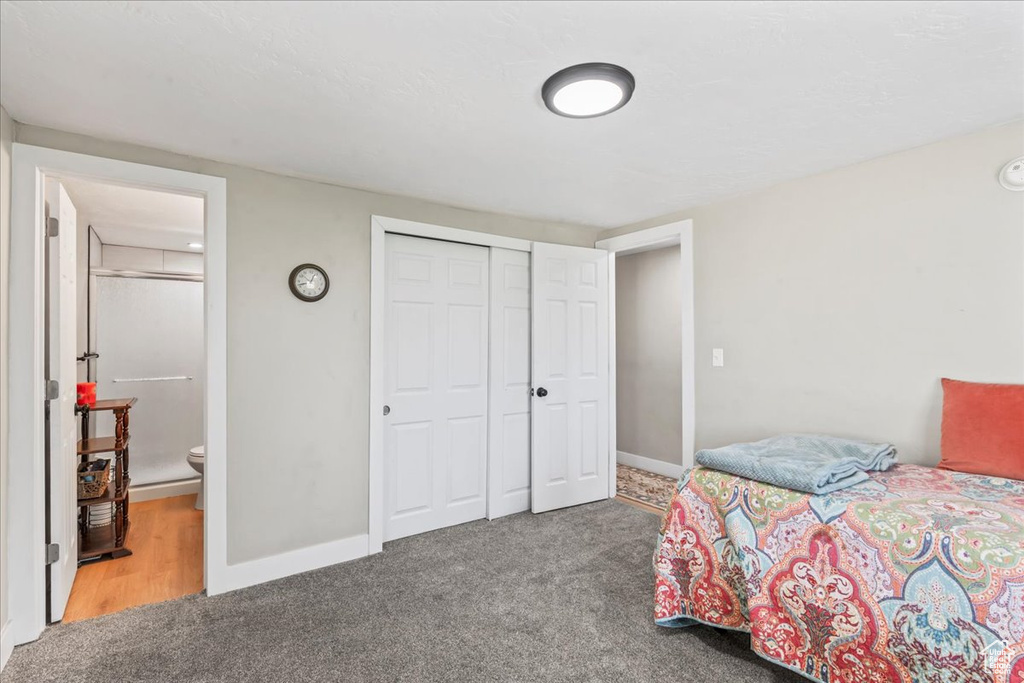 Bedroom featuring carpet floors, a closet, and ensuite bath