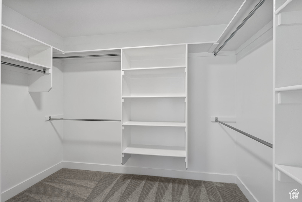 Spacious closet with carpet