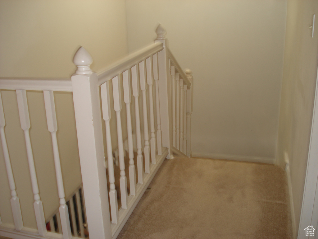 Stairs with carpet
