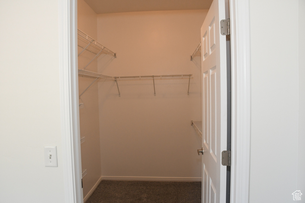 Walk in closet featuring carpet