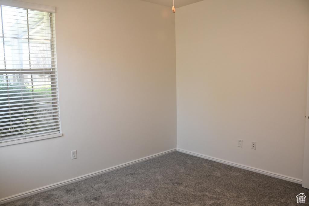 Carpeted empty room with plenty of natural light and baseboards