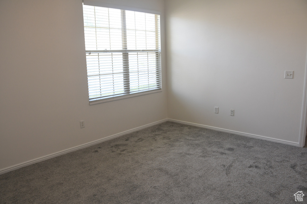 Unfurnished room featuring carpet flooring and baseboards